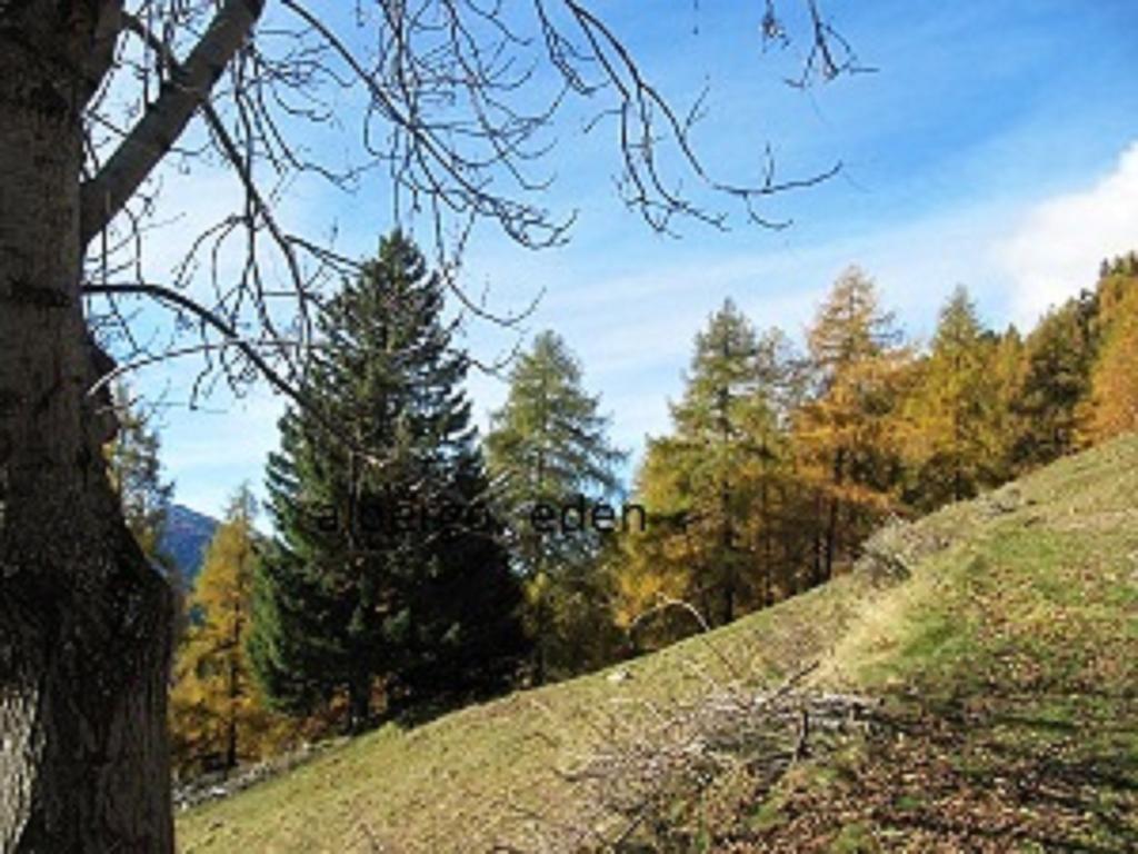 Albergo Eden Ponte di Legno Kültér fotó